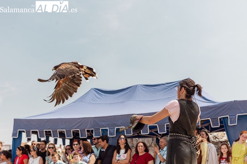 Espectáculo de cetrería medieval en el Castillo de los Duques de Alba