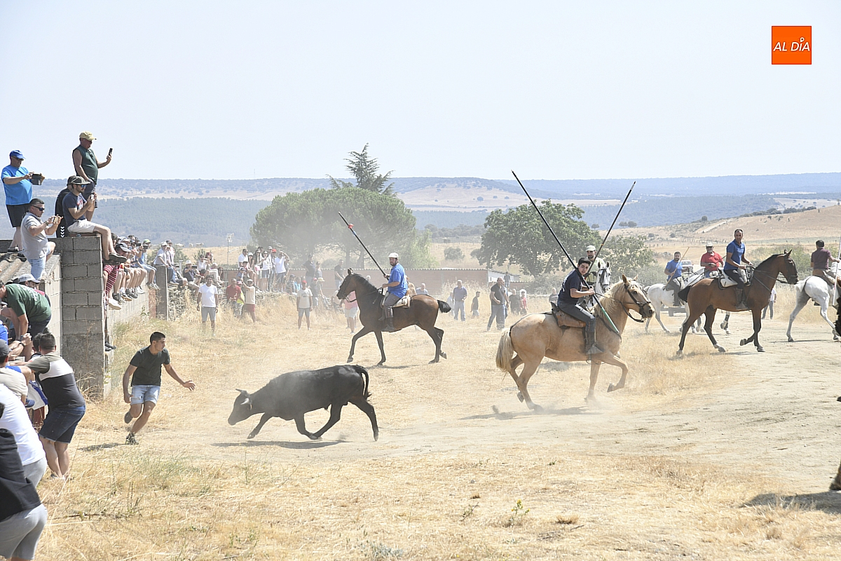 Vistosísimo encierro en Villar de la Yegua con uno de los novillos dando bastante guerra