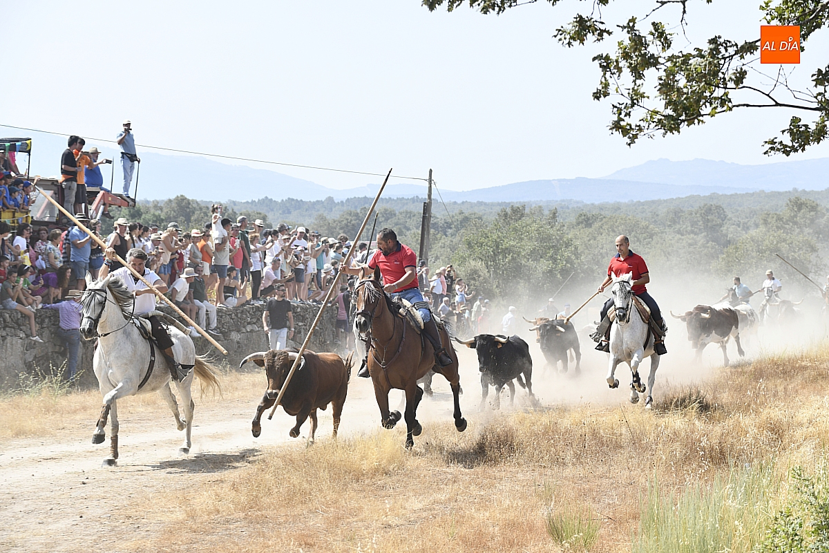Rápido y limpio Encierro a Caballo en Casillas de Flores
