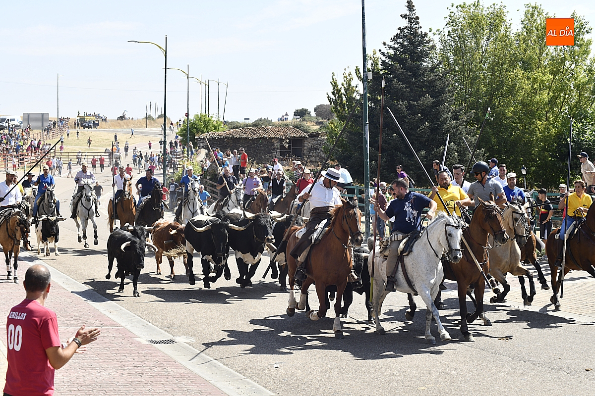 Fuenteguinaldo despide a San Bartolomé con un último encierro a caballo de sabor familiar