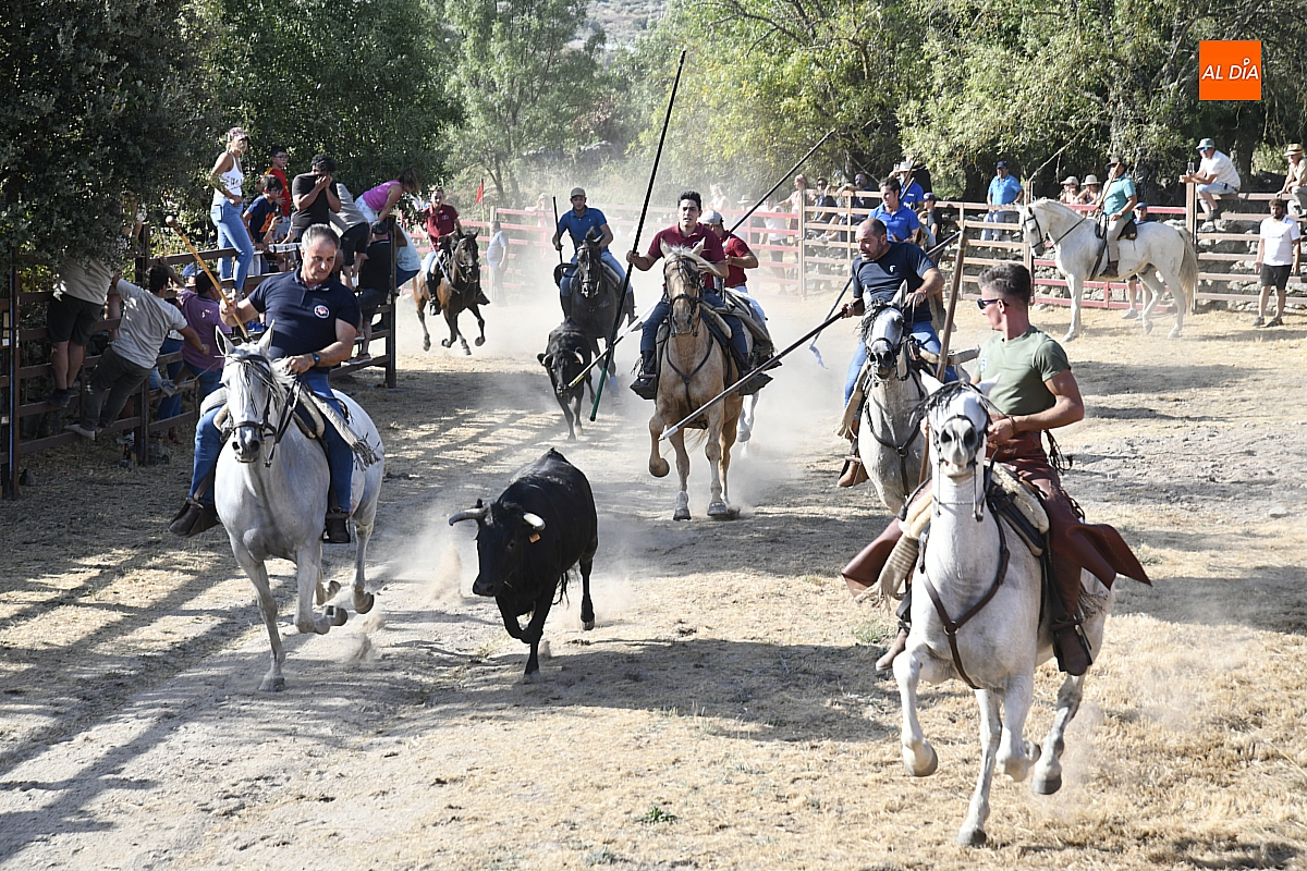 Entretenido encierro a caballo con final embrollado en las fiestas de Fuentes de Oñoro