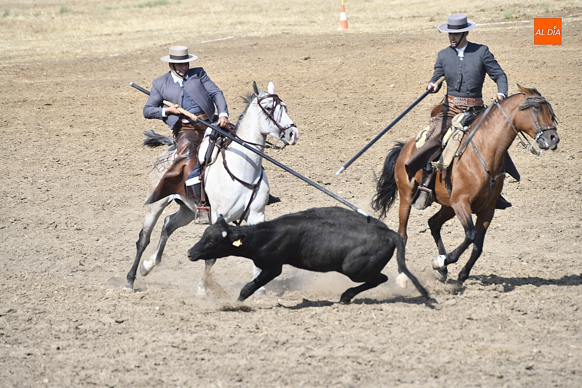 Las Faenas y Doma de Campo estrenan su nueva etapa con 14 colleras empatadas en el liderato
