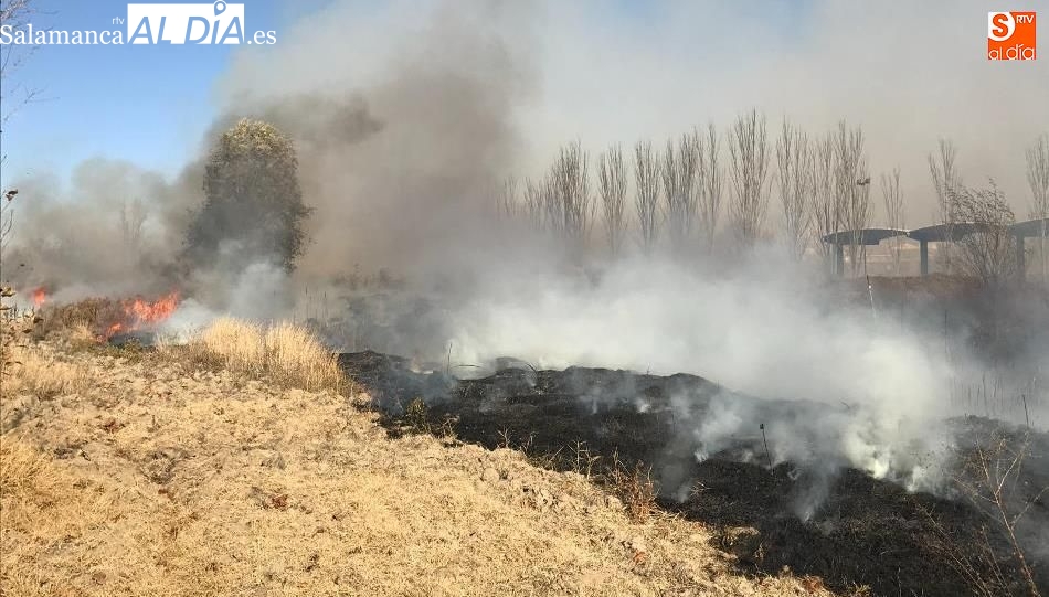 El PP acusa al Gobierno de excluir de forma partidista a municipios de Salamanca de la declaración de zona catastrófica