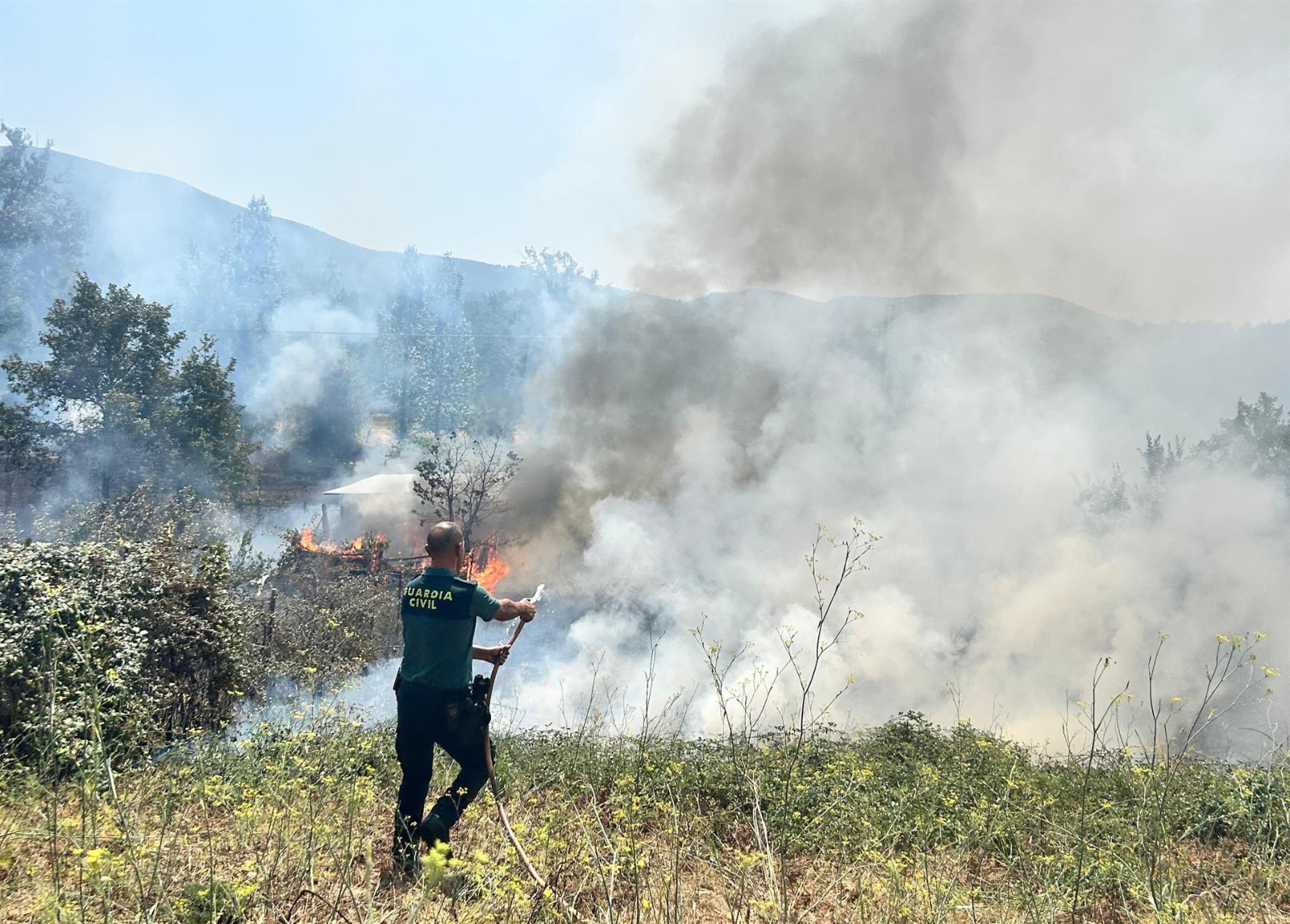 Suben a 56 los detenidos por los incendios forestales, que dejan también 142 investigados