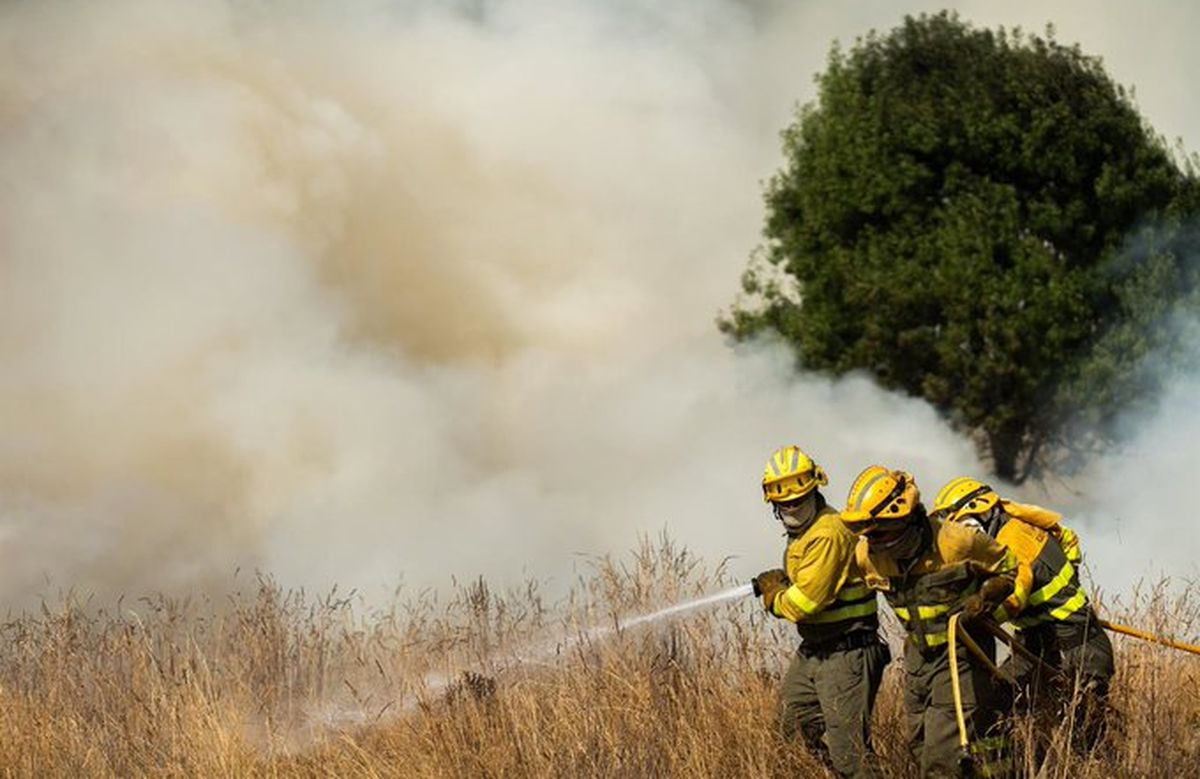 Castilla y León registra 26 incendios activos, diez de ellos en máxima alerta, nivel 2 de peligrosidad