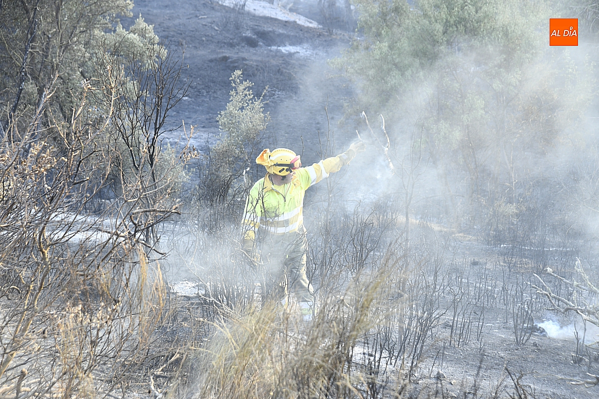 Extinguido el incendio de Gallegos, que fue intencionado y calcinó 64,86 hectáreas
