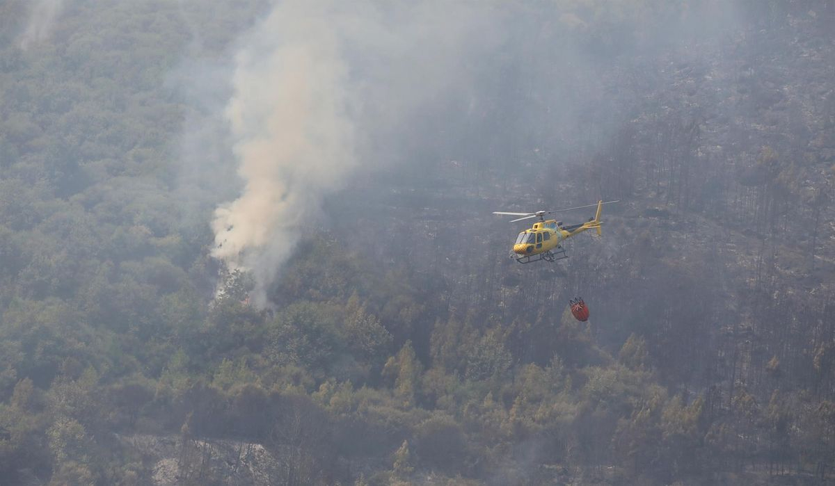 Castilla y León en llamas: varios incendios activos y más de 5.000 evacuados 