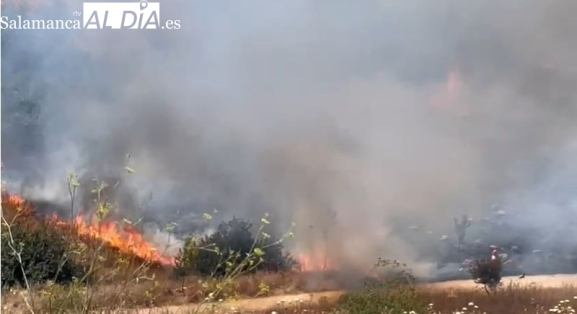 Nuevo incendio en Villar de Peralonso que obliga a cortar la carretera a Espadaña