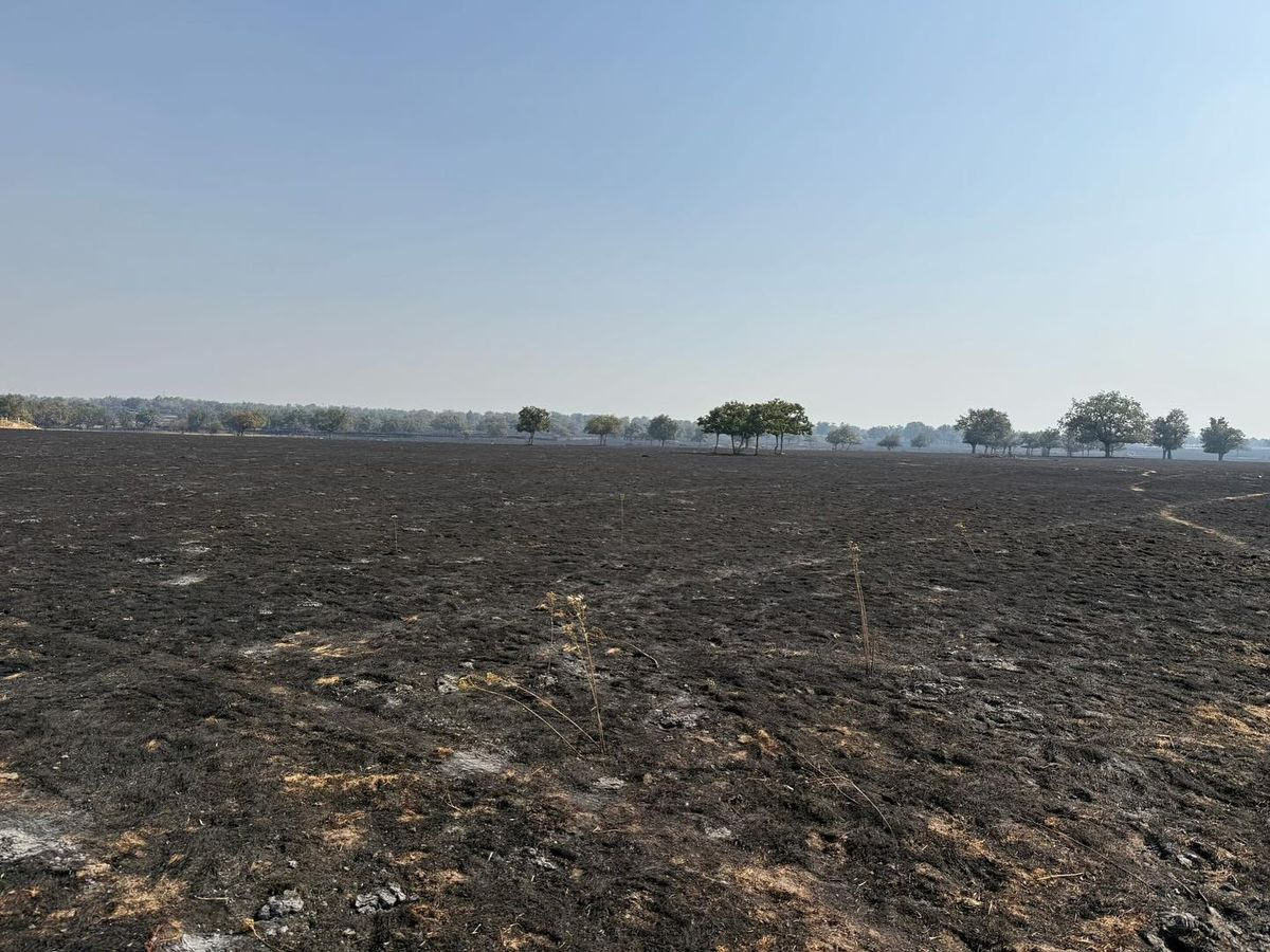 Desolador paisaje salmantino: pastos calcinados, instalaciones dañadas y reservas de alimento destruidas