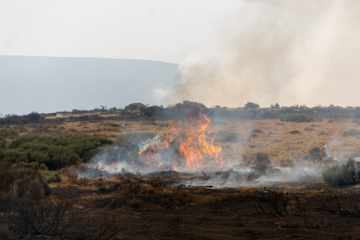 Una tregua meteorológica da un respiro a los 27 incendios de Castilla y León 