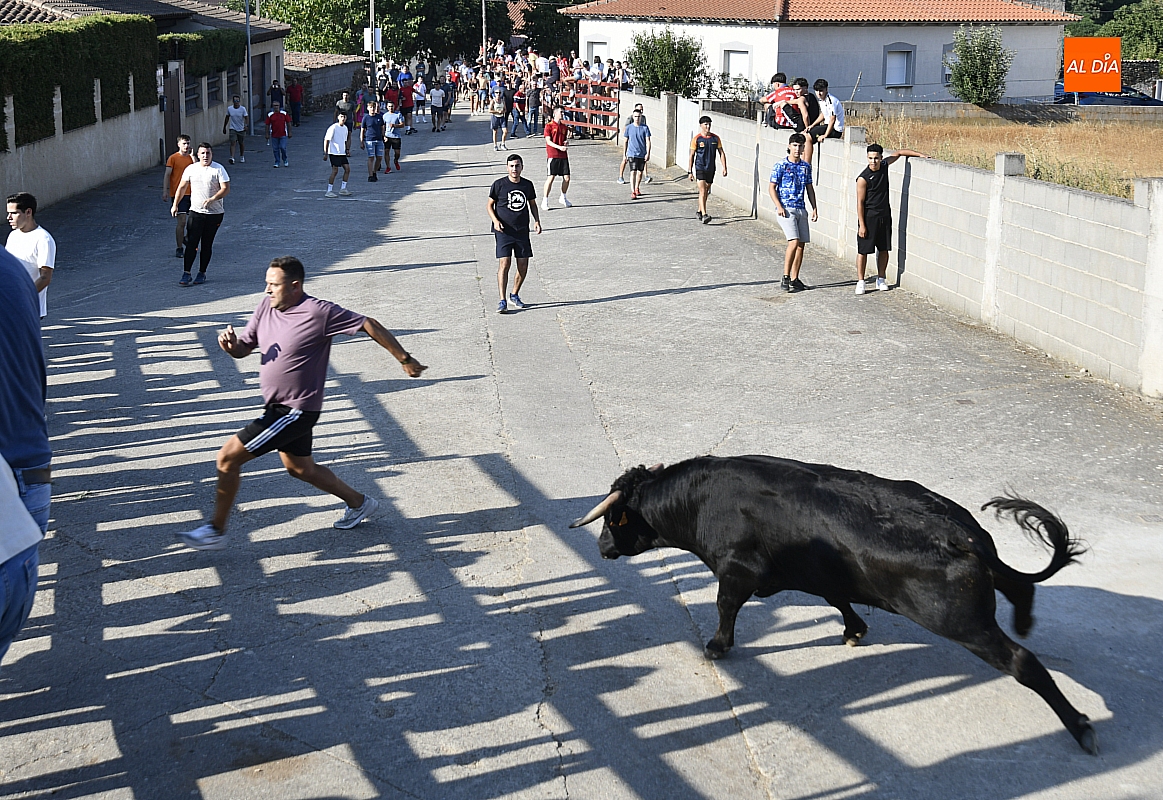 Divertida tarde con el toro del cajón y tres vaquillas en Villar de la Yegua