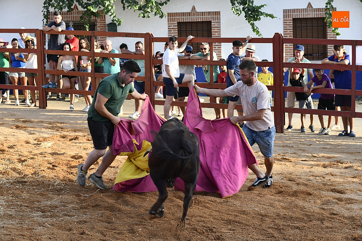 Entre vaquillas y sol de agosto, La Atalaya celebra sus fiestas