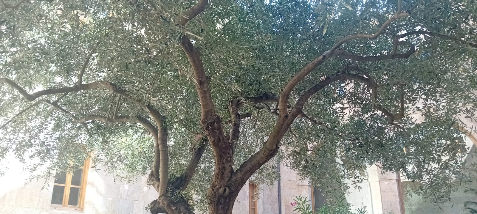 La distancia no es el olvido