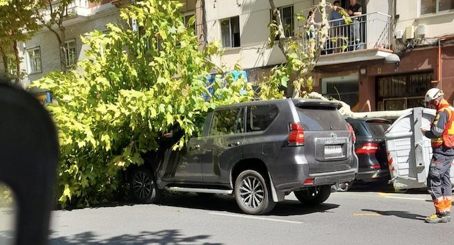 Un árbol cae sobre varios coches tras ser golpeado por una excavadora en Torres Villaroel 