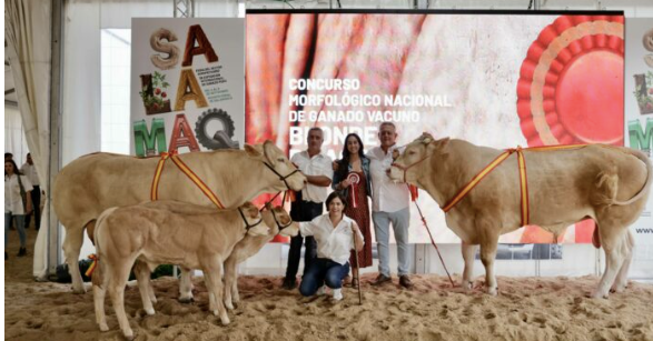 Estos son los ganadores del Concurso Nacional de Blonde de Aquitania y de raza Charolesa en Salamaq