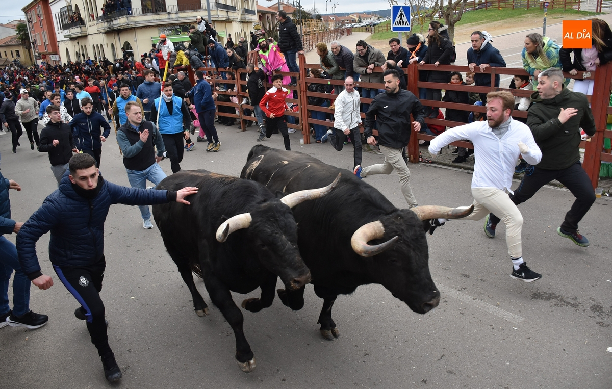 El martes se creará la comisión organizadora del Carnaval del Toro 2026