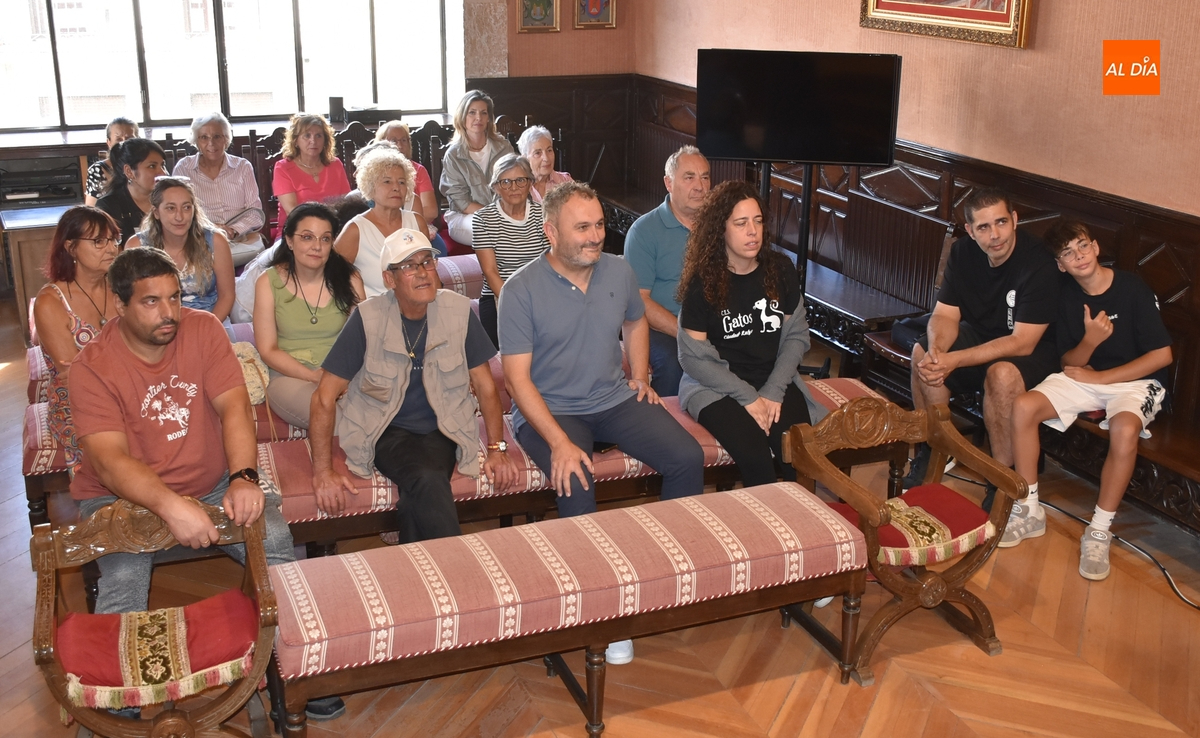 El Ayuntamiento introducirá carnets para identificar a los alimentadores de colonias de gatos