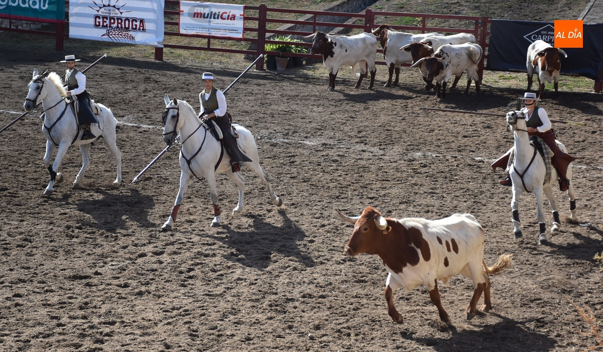 Un equipo íntegramente femenino se impone en el concurrido Concurso del Apartado de la Vaca