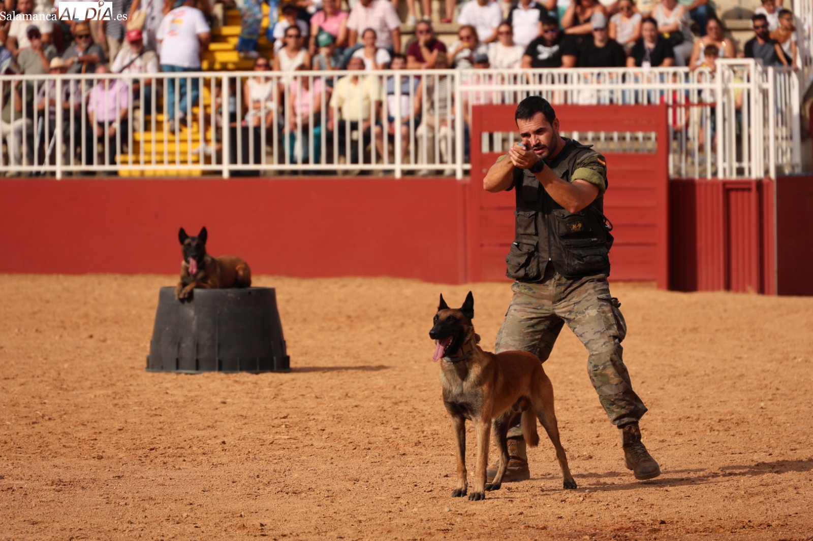 FOTOS | Salamaq se rinde ante la destreza de los perros militares