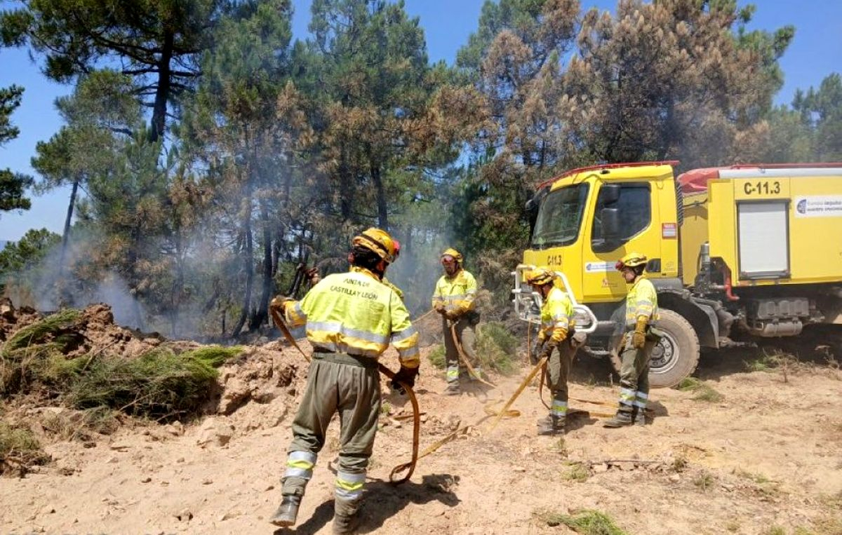 Más de 360 familias y 340 ganaderos reciben ya las ayudas de la Junta para recuperarse de los incendios