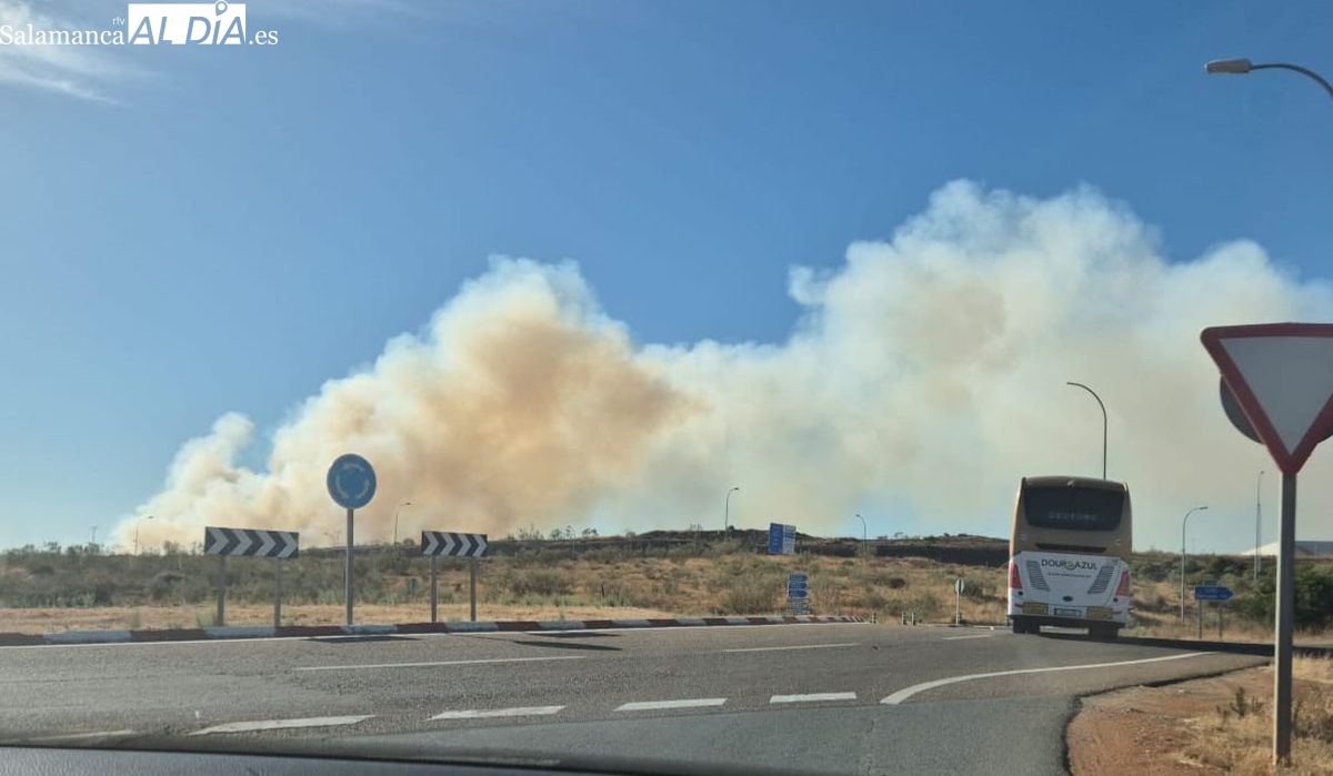 Controlado un incendio probablemente intencionado en Salamanca, junto a la carretera de Matilla de los Caños