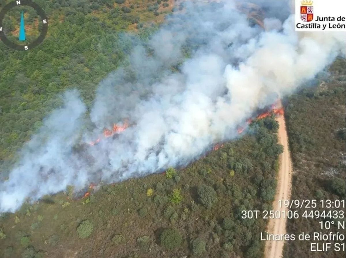 La Sierra de Francia, en vilo: dos incendios declarados en San Miguel de Valero y Sotoserrano