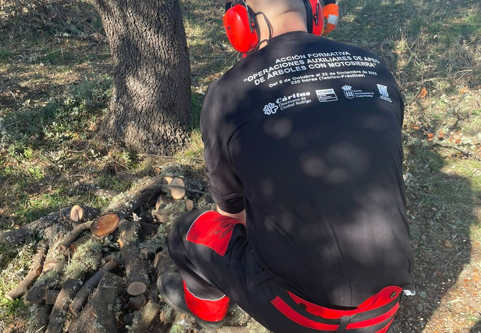 Cáritas abre la inscripción para su nueva formación en Gestión forestal