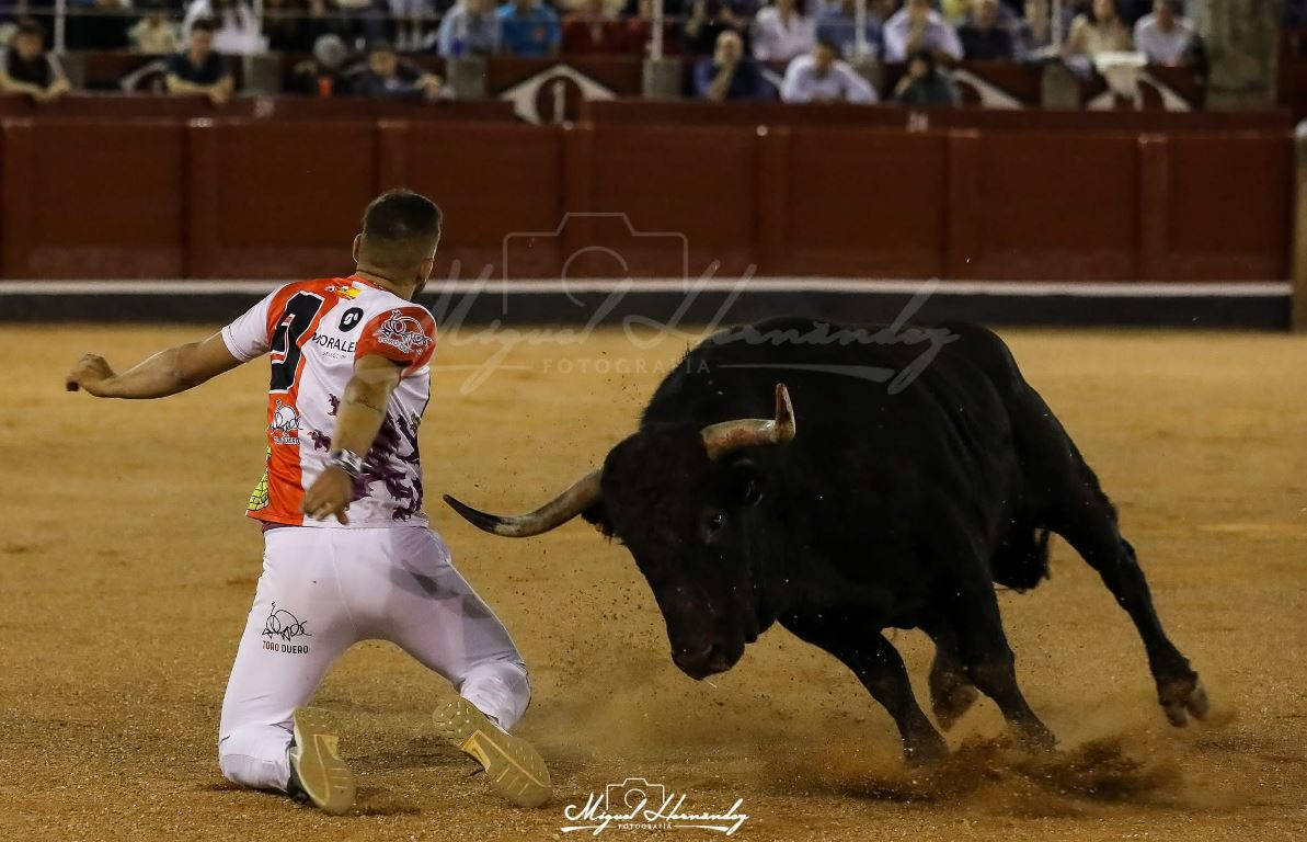 Pipe Martín participará en el Concurso de Recortes con toros de fuego de Zaragoza