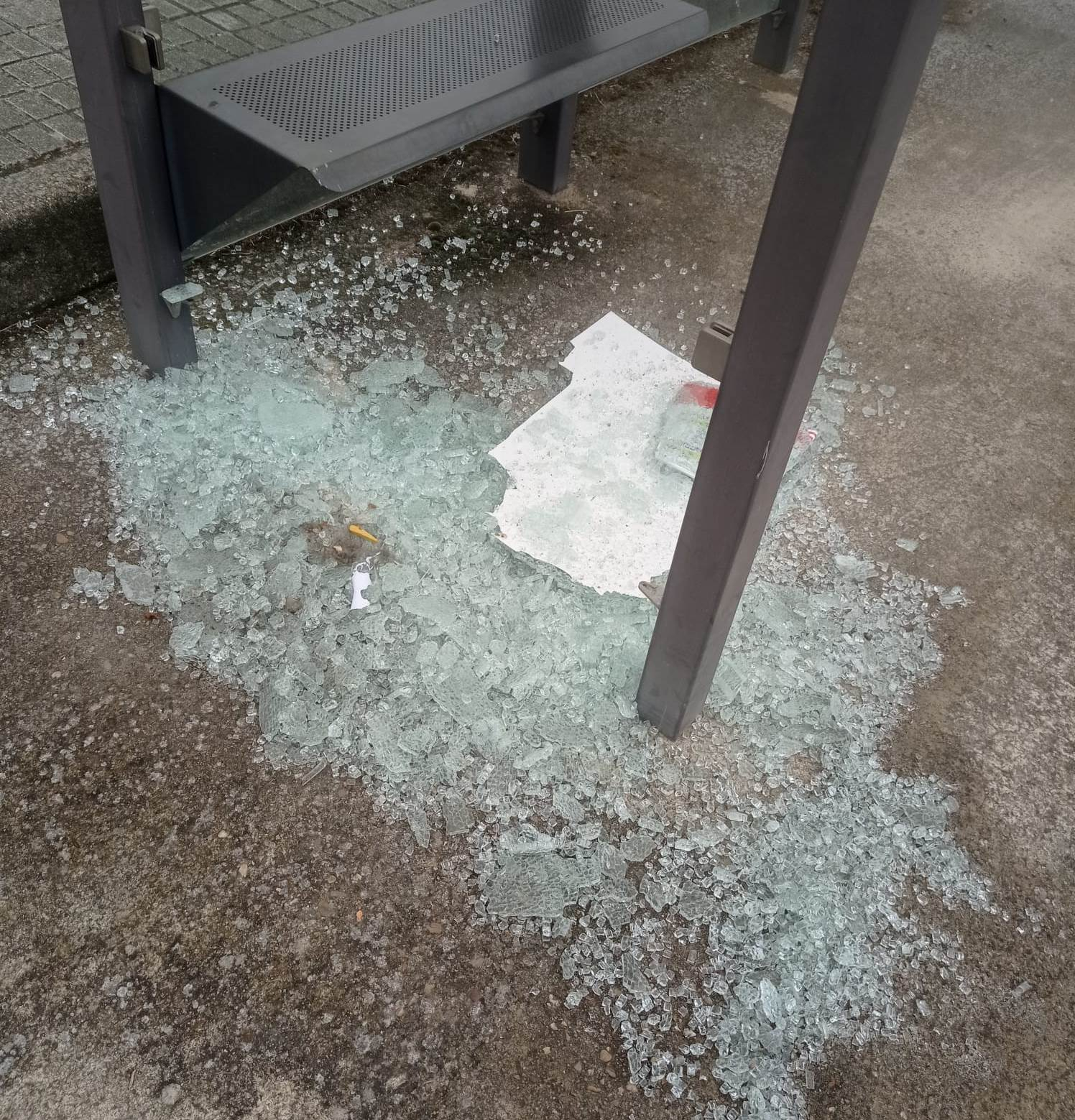 Destrozado uno de los cristales de la marquesina de bus de la Avenida de Béjar