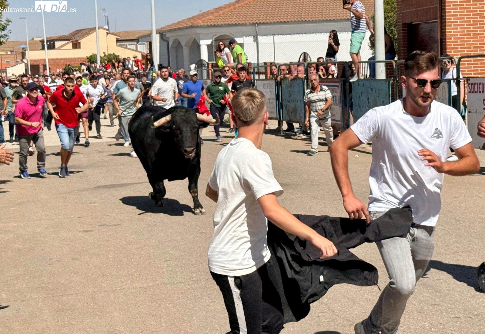 Éxito multitudinario en el III Toro Virgen de la Encina en Macotera