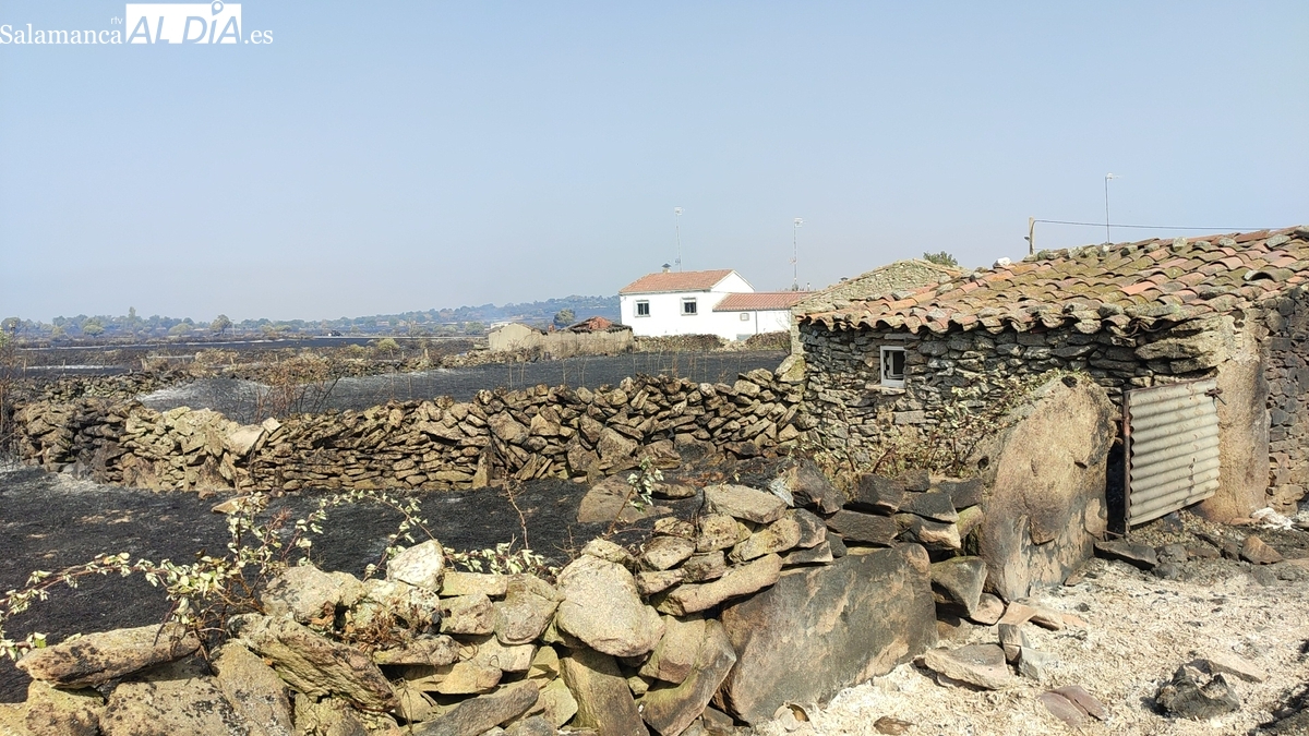 Un fallo administrativo de la Junta impide a los damnificados por los incendios de Cipérez y Martín de Yeltes optar a las ayudas estatales