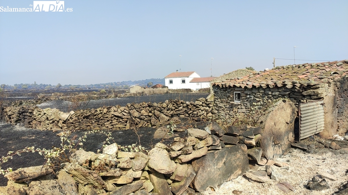 La Junta destina más de 400.000 euros para cuatro familias de Villaseco de los Reyes afectadas por el incendio de Cipérez