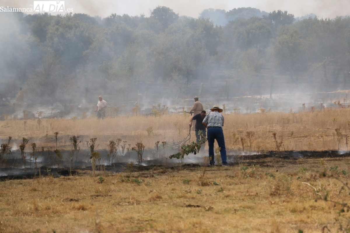 Monleras acoge una jornada para analizar los incendios bajo el lema ‘Y, además… el mundo rural se quema’