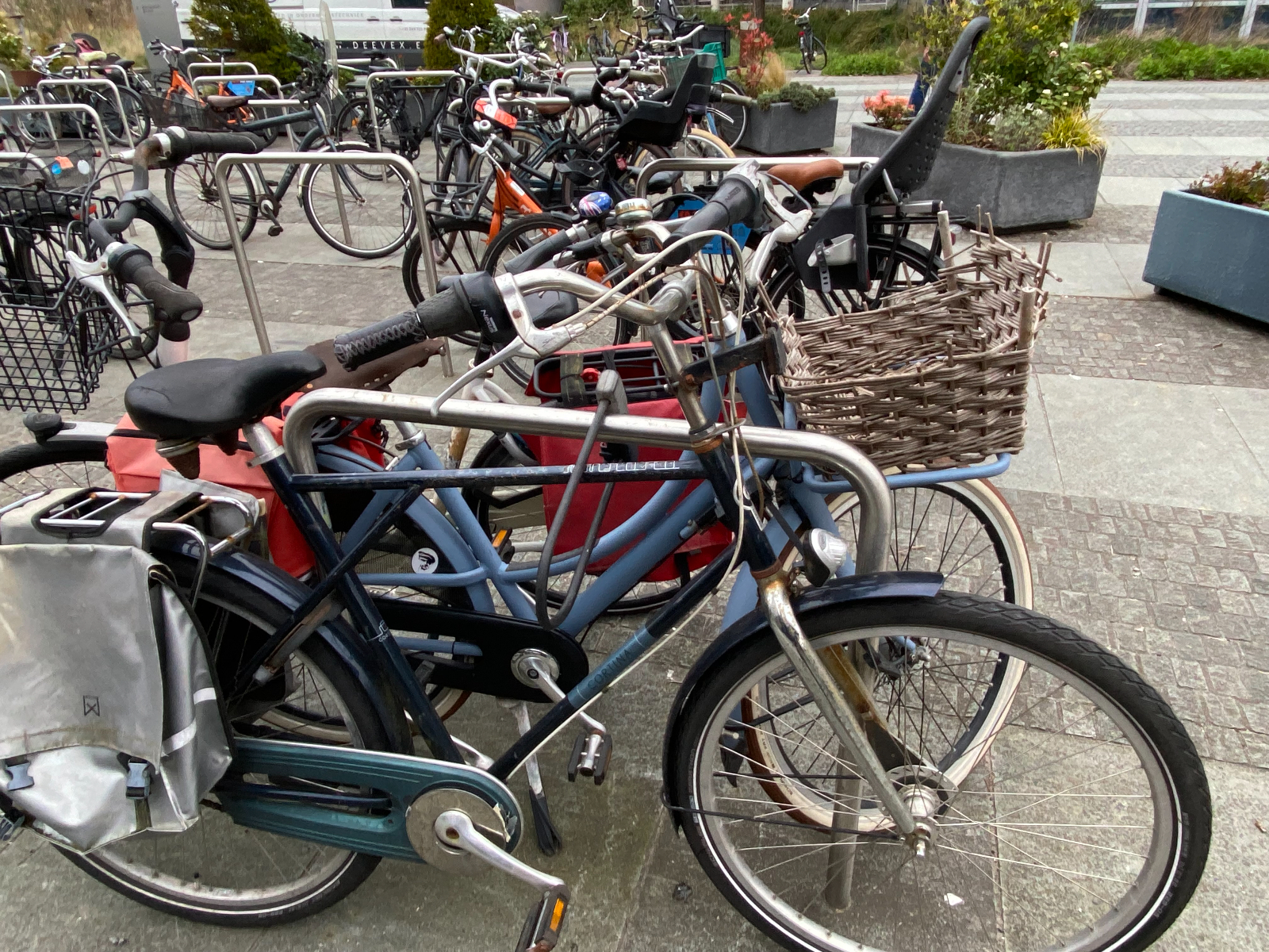 Todos los días, un día