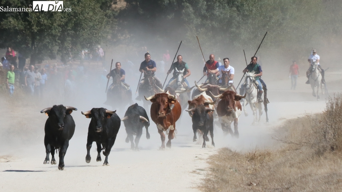 Bañobárez presenta un completo programa para sus fiestas patronales con un gran protagonismo taurino