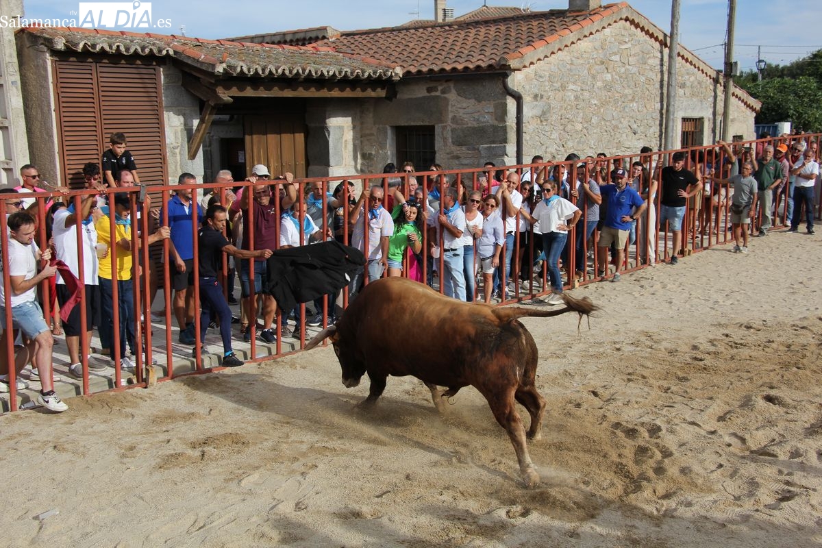 Madrileño protagoniza un emocionante I Toro de Cajón en Villaseco de los Reyes