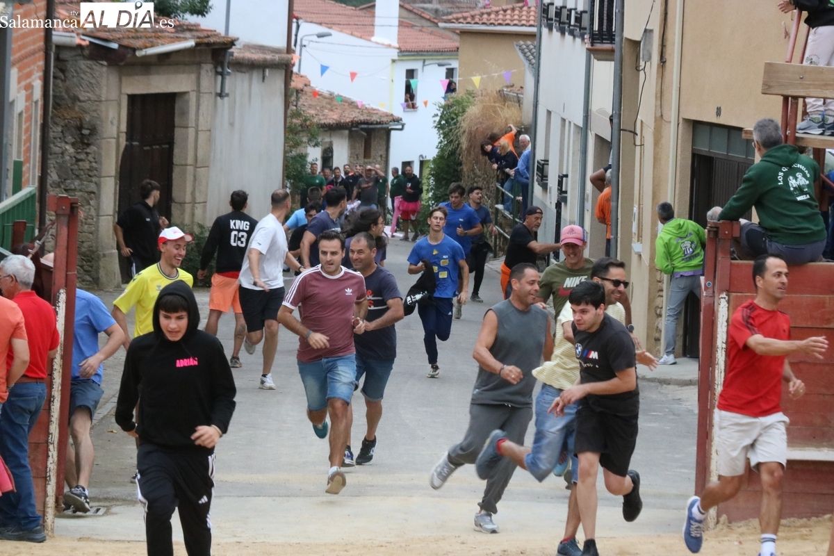 Mieza vive un intenso domingo taurino a la espera del día grande de la Virgen del Árbol