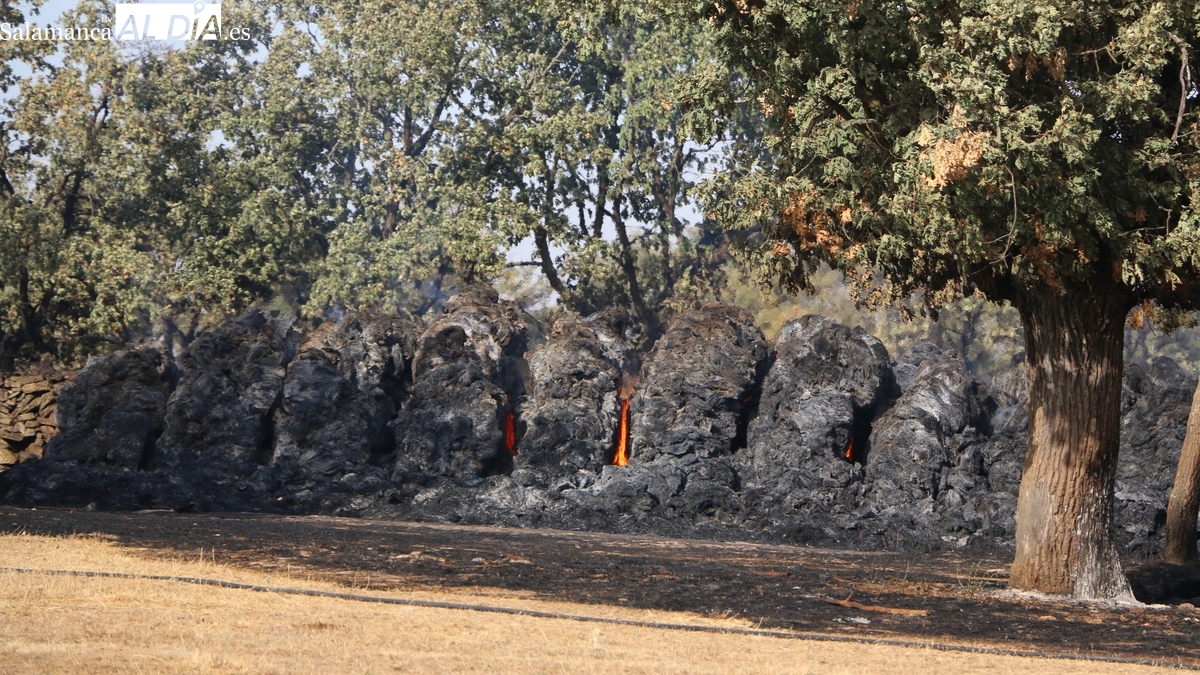 La Junta dice que sí solicitó la zona catastrófica para Cipérez y Martín de Yeltes