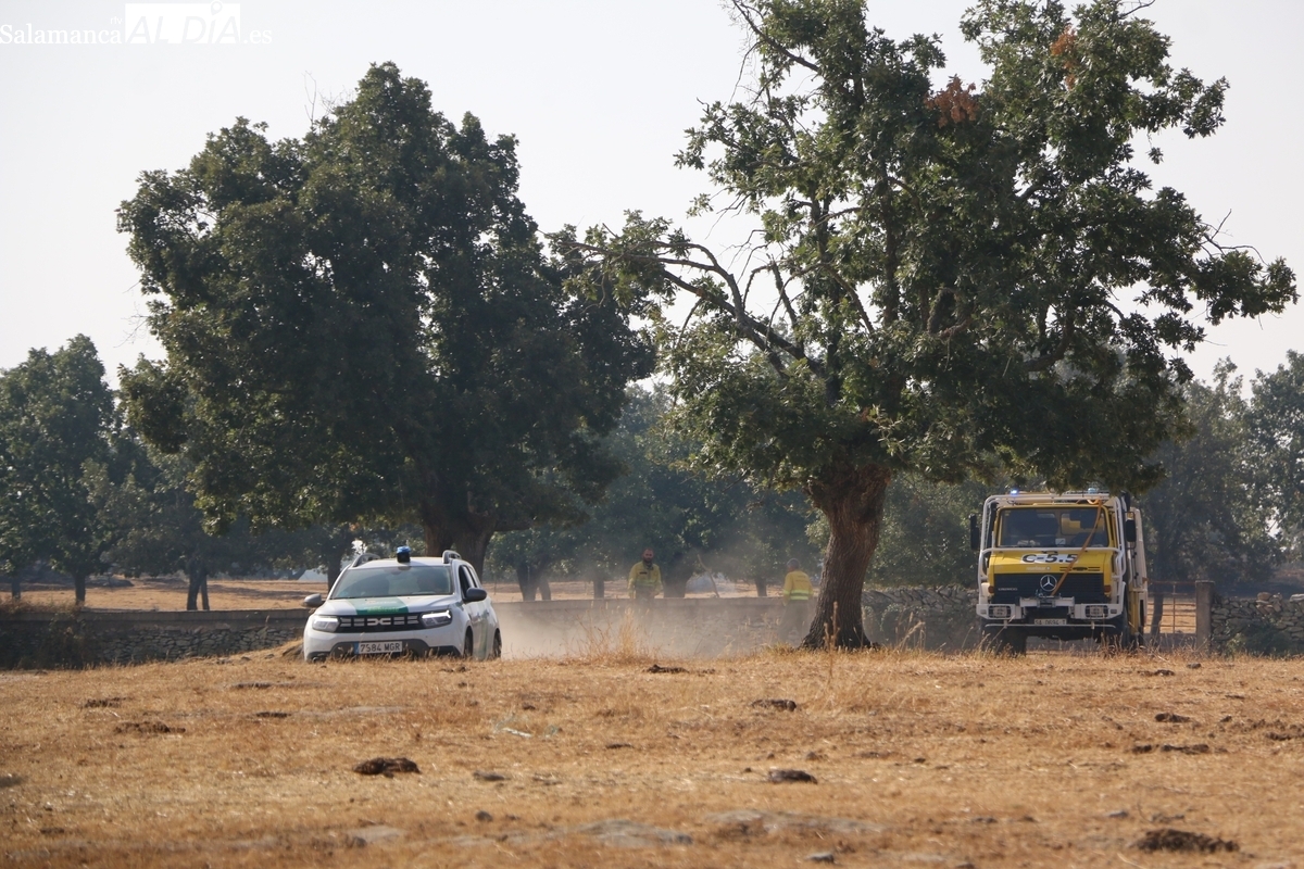 Las ayudas del Gobierno por los incendios se abonarán antes de final de año y se tramitarán de oficio sin necesidad de solicitud