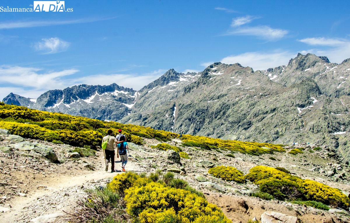 Las piedras del camino