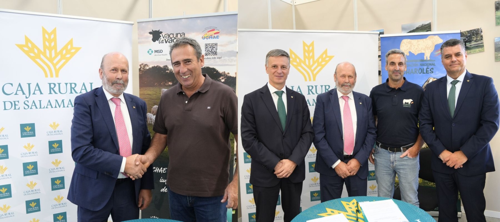 Caja Rural de Salamanca renueva su apoyo al sector del vacuno charolés en Salamaq 2025