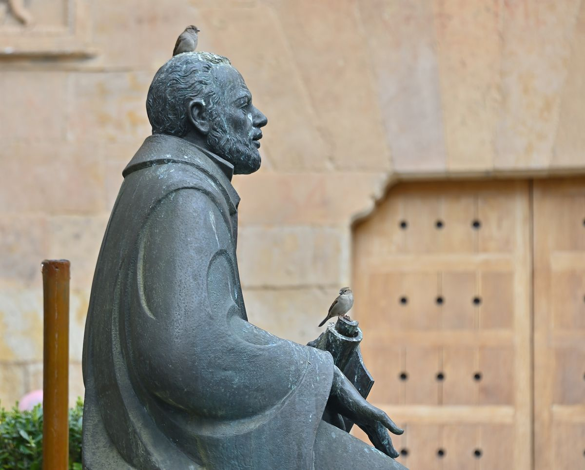 El milagro de los pájaros 