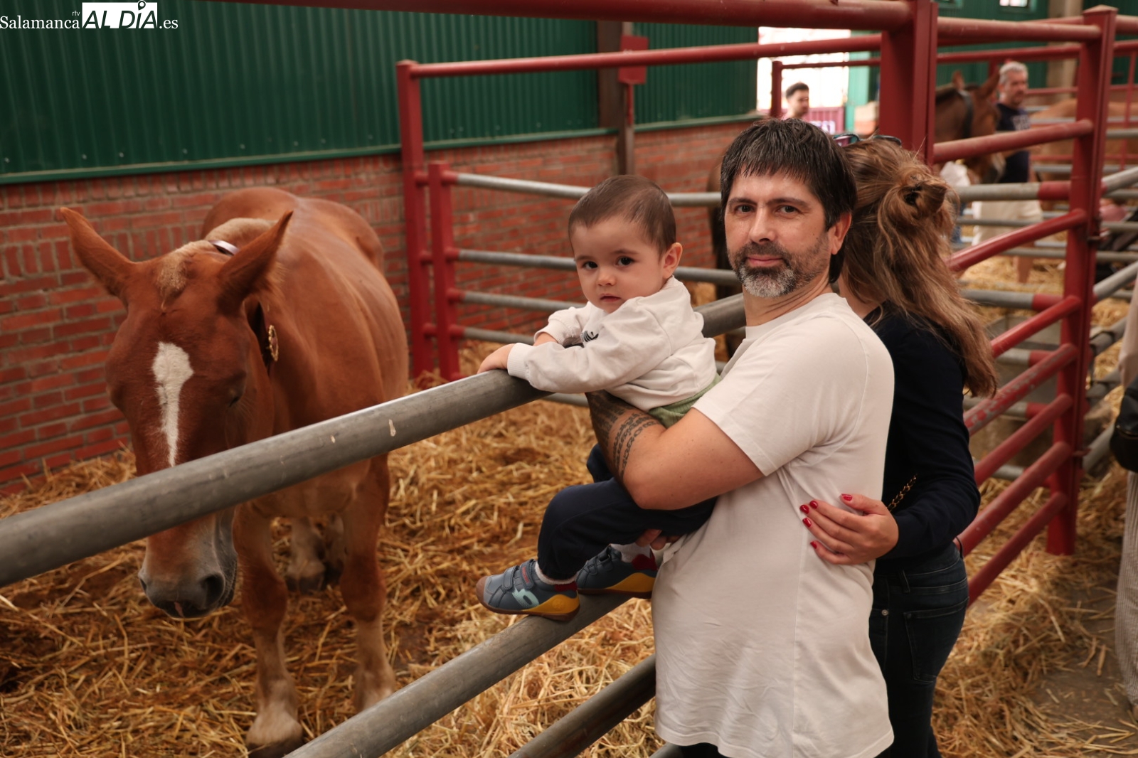 GALERÍA DE FOTOS | Salamaq, un plan perfecto para un domingo en familia