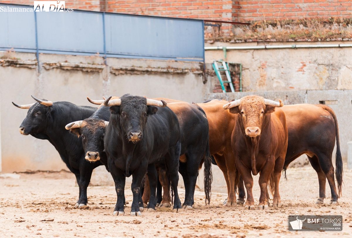 FOTOS | Montecillo abre la feria en un cartel histórico