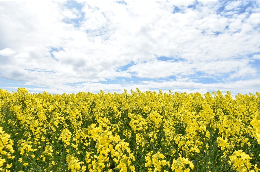 La esquina de la mesa