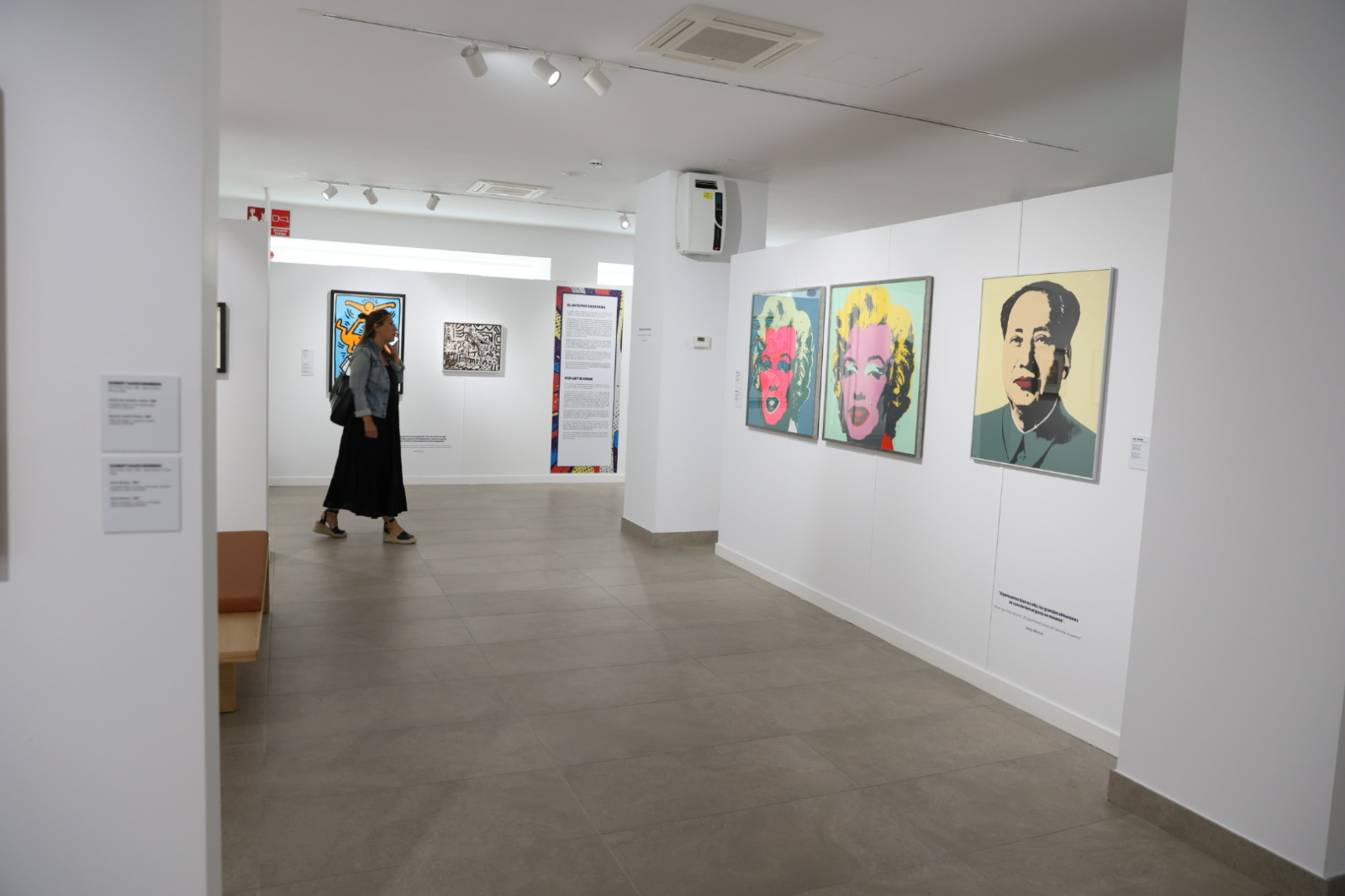 De las latas de Warhol al grafiti de Banksy: un viaje por la historia del Pop Art en Salamanca