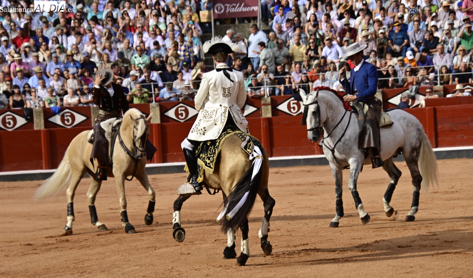 Caballos de rejoneo (ejemplares únicos)  