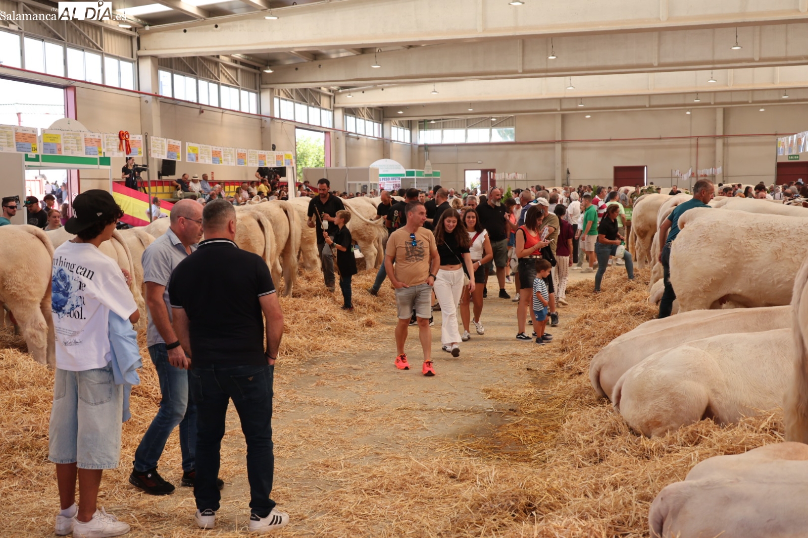 FOTOS | Salamaq vive un sábado de récord con colas desde primera hora y un ambiente excepcional