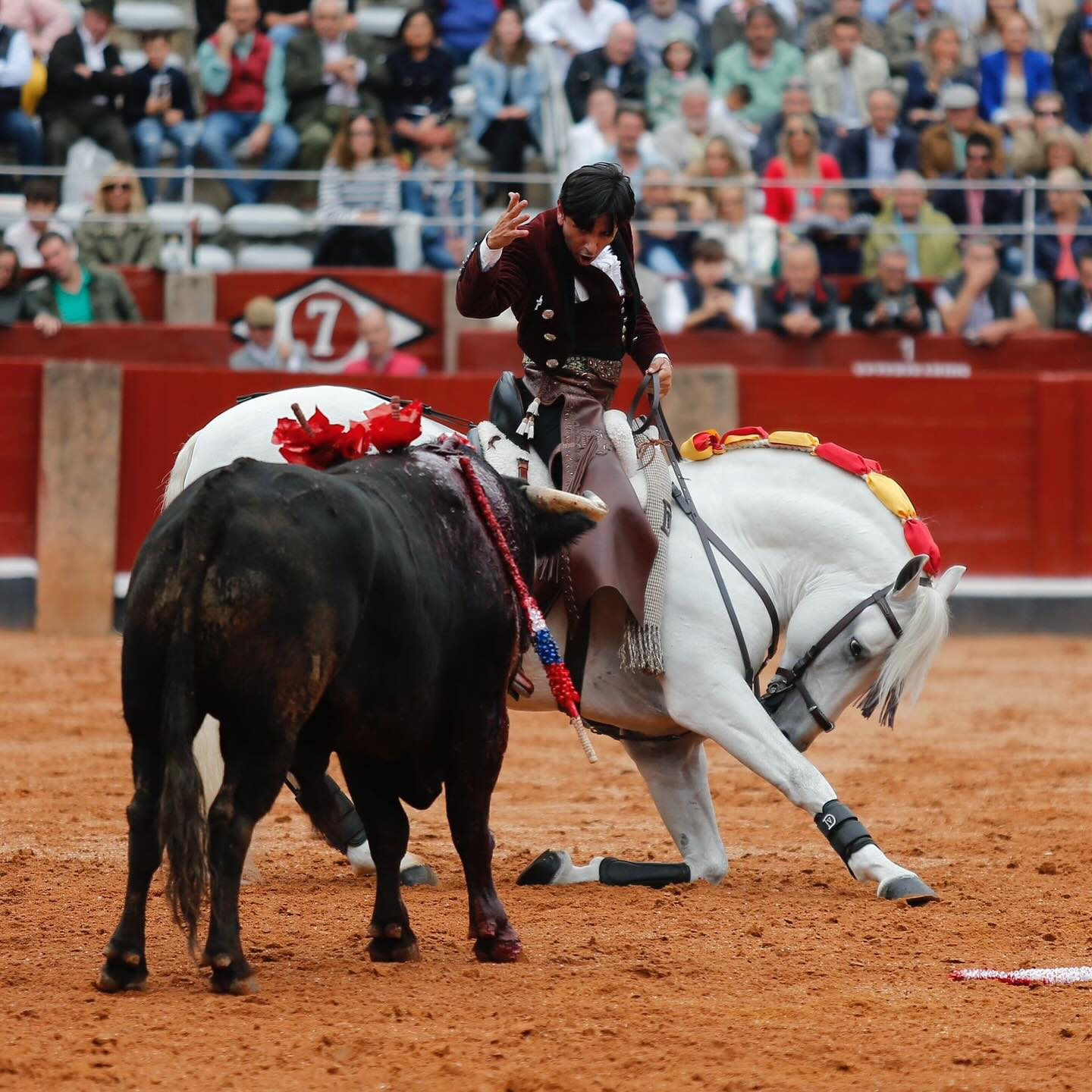 Diego Ventura: Salamanca ha criado los toros de mis mayores triunfos y soy admirador de grandiosos toreros charros