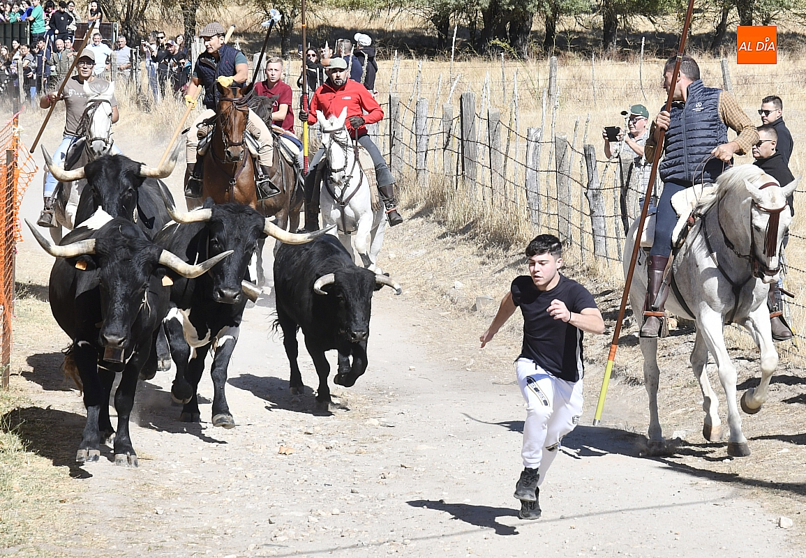 El esperado encierro a caballo de Espeja no complace al público aficionado